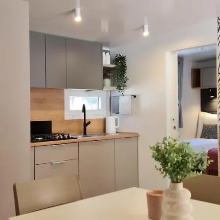 Olive Mobile Holiday home