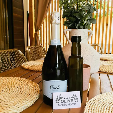 Olive Mobile Дом отдыха *