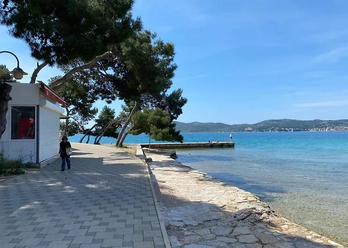 Olive Mobile Vakantiehuis